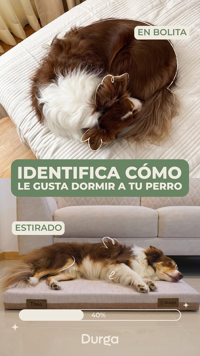 Cama Durga - Cómo le gusta dormir a tu perro