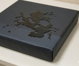 Resistente a garritas